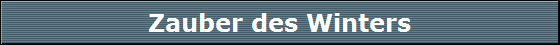 Zauber des Winters